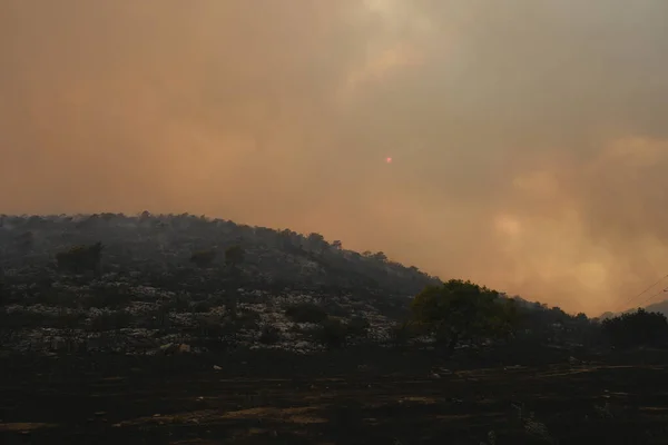 Дым Поднимается Выжженного Леса Время Лесного Пожара Пригороде Афин Греция — стоковое фото