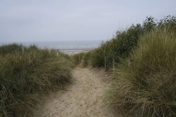 17 Eylül 2023 'te De Haan, Belçika sahilindeki kum tepeleri.. 