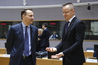 Radoslaw SIKORSKI ve Dışişleri Bakanı 22 Ocak 202 'de Brüksel, Belçika' daki AB genel merkezine bir Dışişleri Konseyi (FAC) toplantısı için geldi