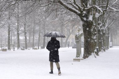 Belçika 'da 17 Ocak 2024' te şiddetli bir kar yağışı sırasında Brüksel 'in merkezinde yürürken şemsiye tutan bir kadın görülüyor..