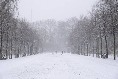 17 Ocak 2024 'te Brüksel' de yoğun kar yağışı sonrasında parkın manzarası.