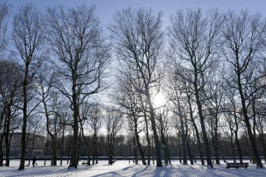 18 Ocak 2024 'te Brüksel, Belçika' da karla kaplı Cinquantenaire Park manzarası.