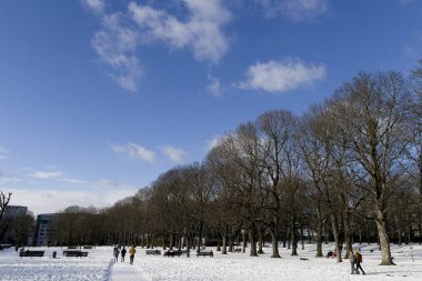 18 Ocak 2024 'te Brüksel, Belçika' da karla kaplı Cinquantenaire Park manzarası.