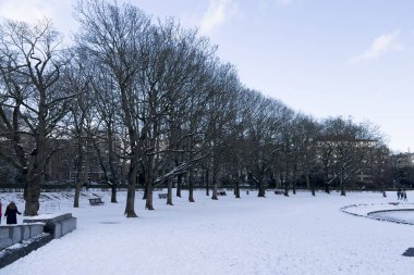 18 Ocak 2024 'te Brüksel, Belçika' da karla kaplı Cinquantenaire Park manzarası.