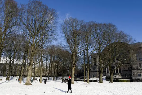 View Cinquantenaire Park Covered Snow Brussels Belgium January 2024 — Stock Photo, Image