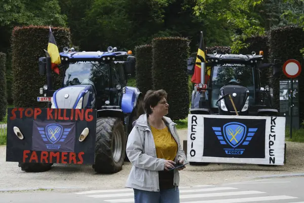 Stock image European farmers take part in demonstration ahead of European Parliament election, in Brussels, Belgium June 4, 2024