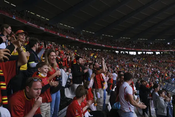 8 Haziran 2024 'te Brüksel' in kuzeybatısında yer alan King Baudouin Stadyumu 'nun genel manzarası.
