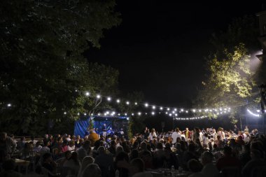 İnsanlar, 26 Temmuz 2024 'te Lefka veya Yunanistan' ın Paloukova köyünde düzenlenen festivalde geleneksel halk danslarında festivale katılıyor..