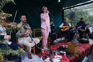 İnsanlar 27 Temmuz 2024 'te Lefka veya Yunanistan' ın Paloukova köyünde düzenlenen festivalde geleneksel halk danslarında festivallere katılıyor..