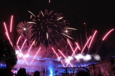 21 Temmuz 2024 'te Brüksel' deki Cinquantenaire Park 'ta düzenlenen Ulusal Bayram kutlamaları sırasında havai fişekler patladı..