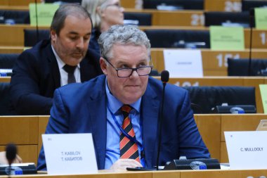Siaran MULLOOLY, MEP 9 Eylül 2024 'te Avrupa Parlamentosu, Brüksel, Belçika' daki Parlamento komitelerine katıldı.