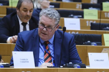 Siaran MULLOOLY, MEP 9 Eylül 2024 'te Avrupa Parlamentosu, Brüksel, Belçika' daki Parlamento komitelerine katıldı.