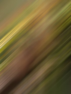 Çizgileri olan soyut renkli güzel hareket arkaplan görüntüsü