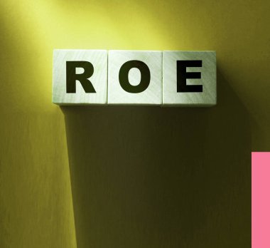 Tahta bloklar ve paralar üzerinde ROE. Equity 'ye Dönüş. İş karlılığı başarı büyüme karlılık analizleri. konsept.