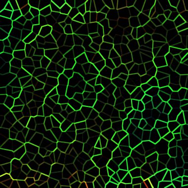 soyut geometrik doku kara arkaplan üzerindeki kaotik renk çizgileri 