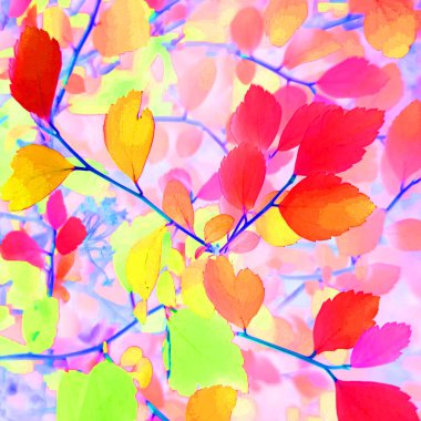 Negatif renkli efektli soyut çiçek arkaplanı 