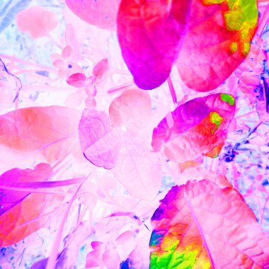 Negatif renkli efektli soyut çiçek arkaplanı 
