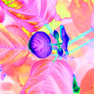 Negatif renkli efektli soyut çiçek arkaplanı 