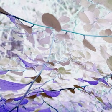 Negatif filtreli fantastik doğal çiçek arkaplanı