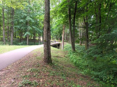 Parkın güzel manzarası