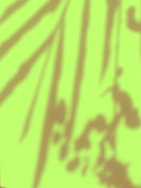 Açık yeşil arka planda bitkilerin gölgeleri 