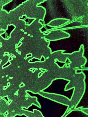 Siyah arkaplanda soyut yeşil çiçek deseni