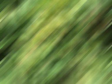 Bulanık yeşil soyut arkaplan, yaz mevsimi taze doğa arka planı