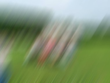 Yeşil çimenlerin bulanık arkaplanı