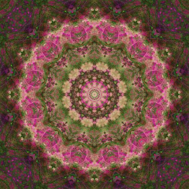 Soyut dijital fraktal desen, yuvarlak süs. süs