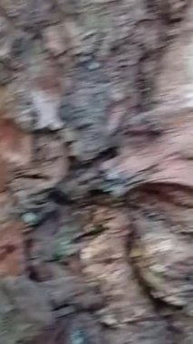 ağaç kabuğu dokusu, arkaplan