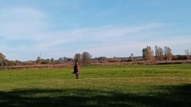 Tarladaki genç bir dişinin güzel bir fotoğrafı.