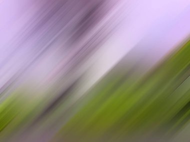 Bulanık arkaplan, bahar çiçekleri