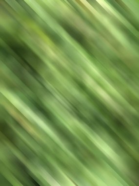 soyut bulanık yeşil arkaplan