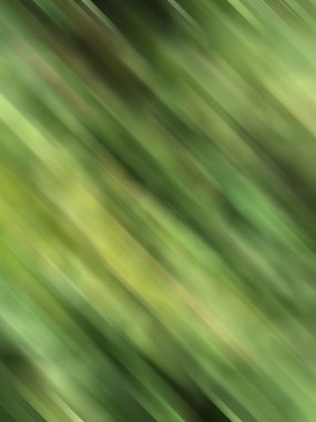 soyut bulanık yeşil arkaplan, doğa, bahar, yaz, yaz,