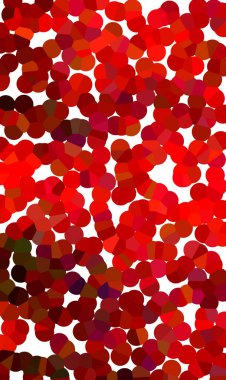 Kuzey ışıkları ya da gökyüzündeki Aurora borealis.