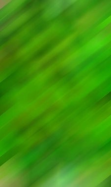 Kuzey ışıkları ya da gökyüzündeki Aurora borealis.