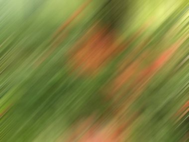 Bulanık ışık izleri renkli arkaplan