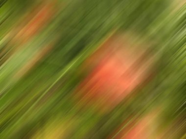 Kırmızı, kahverengi ve sarı renklerin soyut bulanık arkaplanı