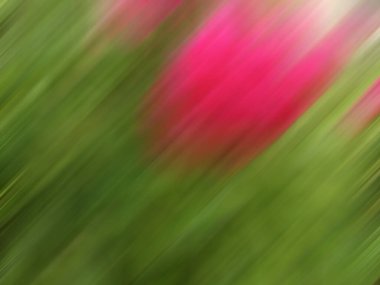 soyut renkler ve bulanık arka grup