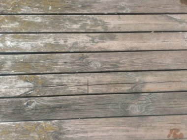 Eski gri ahşap doku. Doğal arka plan. eski panolar.