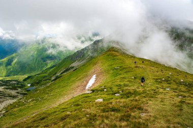 Group of hikers descending from top of Pietrosul Rodnei mountain. Mountain ridge slopes of Rodna Mountains National Park multiday hike, Muntii Rodnei National Park, Romania, Romanian Carpathian Mountains, Europe.