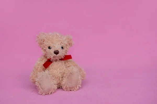 Cute teddy bear with on pink background, space for text. Valentine\'s day celebration