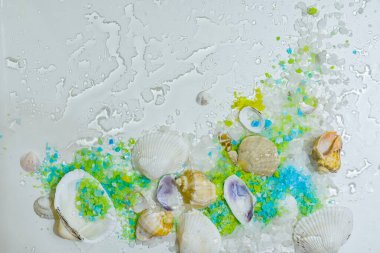 Deniz tuzu ve deniz tuzu arkaplanı. Deniz kabuklu denizcilik geçmişi. Deniz kabuklu deniz tuzu kristalleri