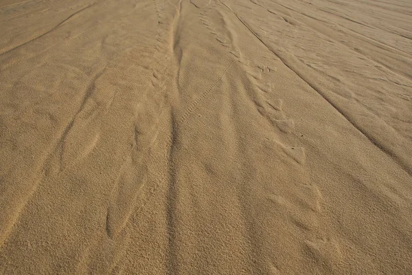 Desert Sand Pattern Abqaiq Dammam Arabie Saoudite — Photo