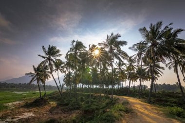 Sahilde gün batımı