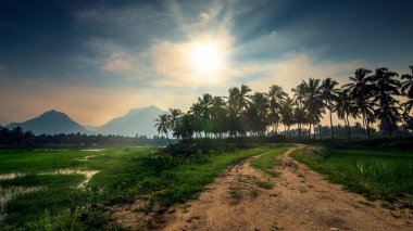 Arkasında bir dağ olan güzel bir manzara.