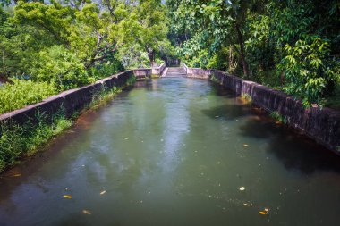 Ormandaki güzel nehir.