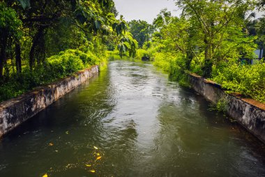 Parktaki nehrin güzel manzarası