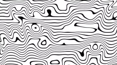 Soyut dalgalı döngülü 4K video. Döngü oynatmak için kusursuz soyut dalgalı psikedelik arkaplan. Beyaz arkaplanda basit siyah çizgiler.