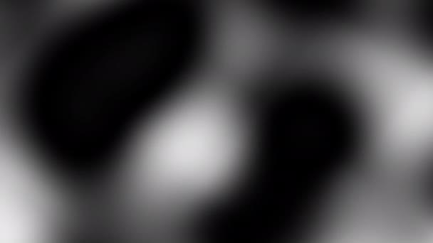 Abstract Blurred Defocused Looping Video Seamless Gradient Background Loop Playback — 비디오